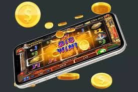 Live casino dealer thật trên nền tảng msport Việt Nam